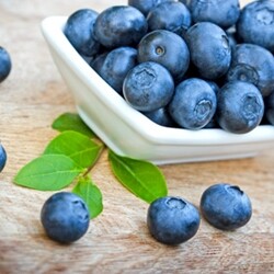 Blueberry Wild