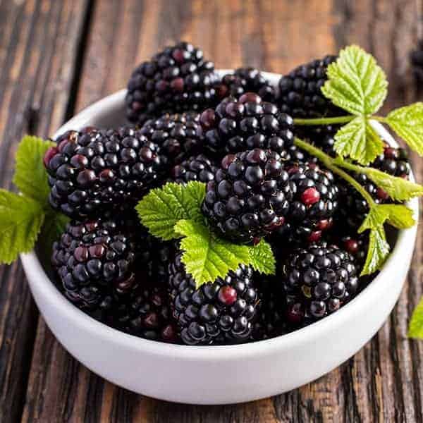 Blackberry E-juice Flavour | Mt Baker Vapor International