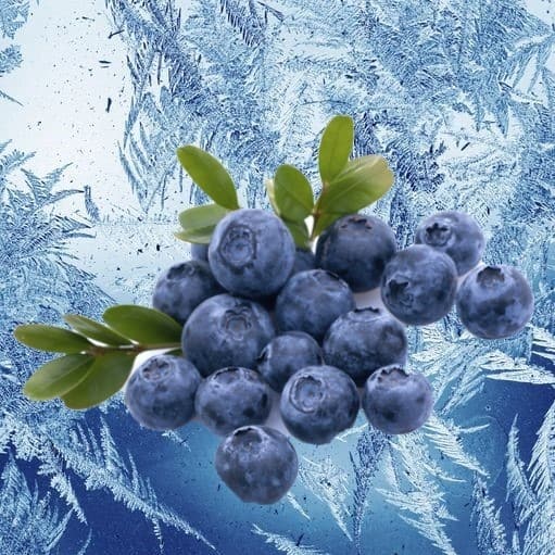 Mountain Huckleberry Ice E-juice Flavour | Mt Baker Vapor International