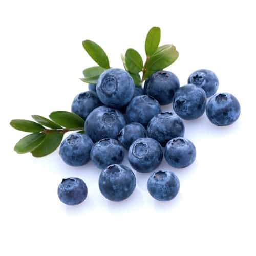 Mountain Huckleberry E-juice Flavour | Mt Baker Vapor International