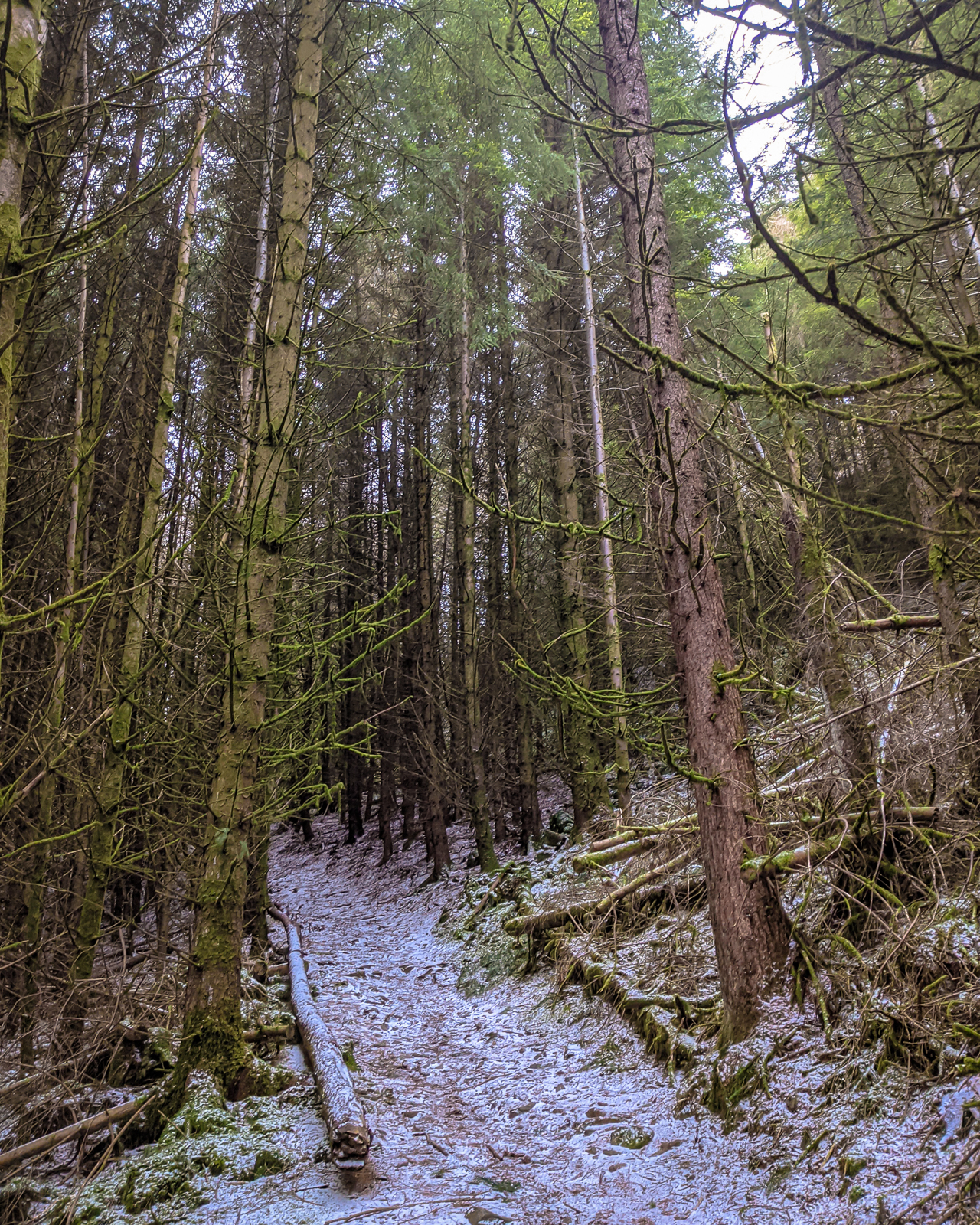 mt baker vapor deils cauldron 7