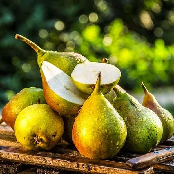Pacific Pear E-juice Flavour by Mt Baker Vapor International