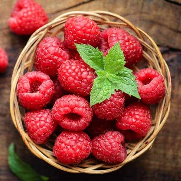 Woodland Raspberry E-juice Flavour | Mt Baker Vapor International