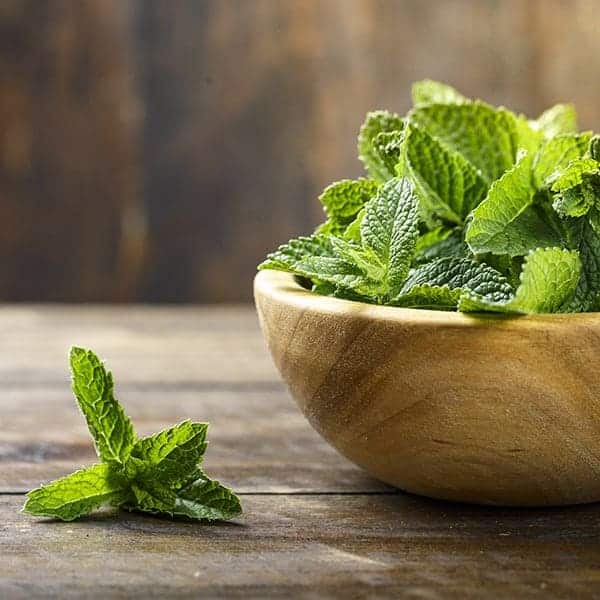 Spearmint (125/250ml)