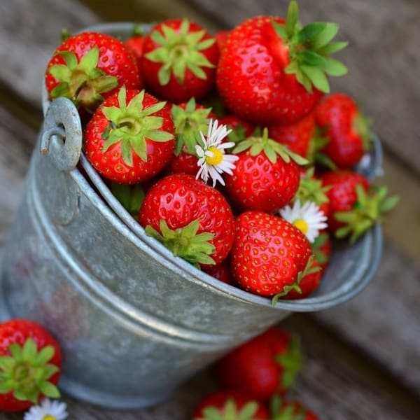 Wild Strawberry E-juice Flavour | Mt Baker Vapor International