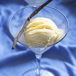 Vanilla Bean Ice Cream
