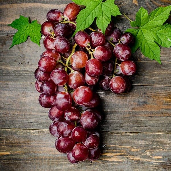 Vineyard Grape E-juice Flavour by Mt Baker Vapor International